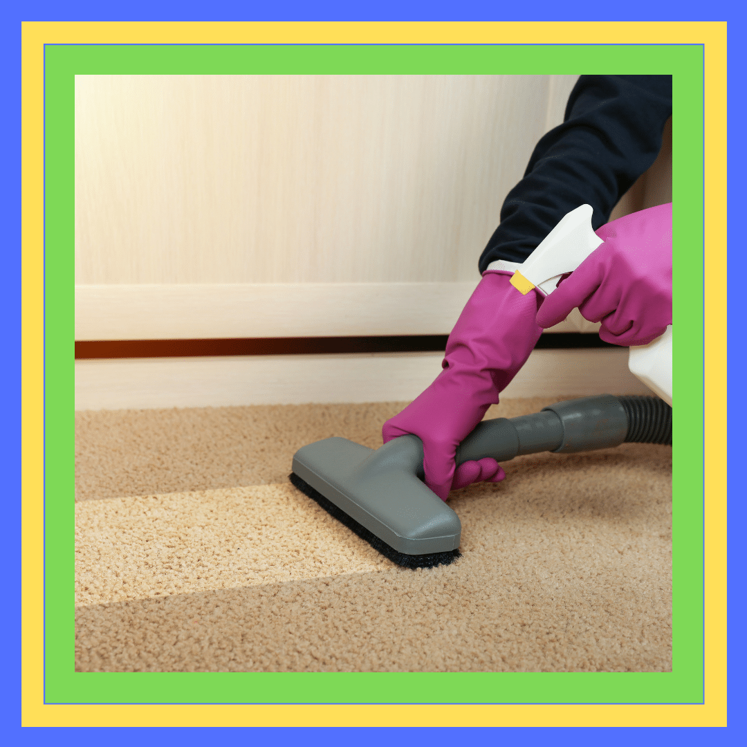 Carpet Sanitization and Deodorization