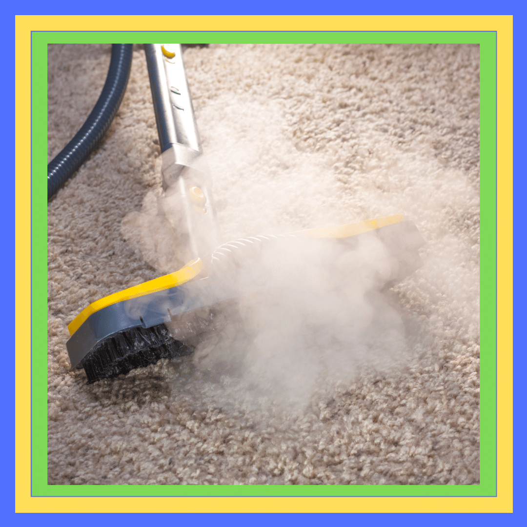 Carpet Steam Cleaning Oconnor